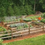 Online Gardening For Beginners