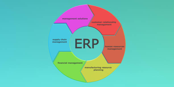 ERP Software Development Services