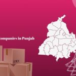 Top 5 Courier Companies in Punjab