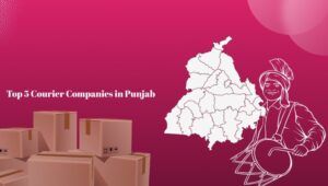 Top 5 Courier Companies in Punjab