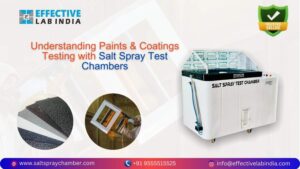 Understanding_Paints_&_Coatings_Testing_with_Salt_Spray_Test_Chambers_12122024095621