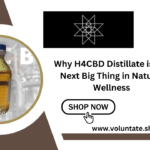 Why H4CBD Distillate is the Next Big Thing in Natural Wellness