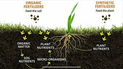 Organic-Inorganic Fertilizer Machinery