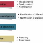 microarray-data-analysis-pipeline