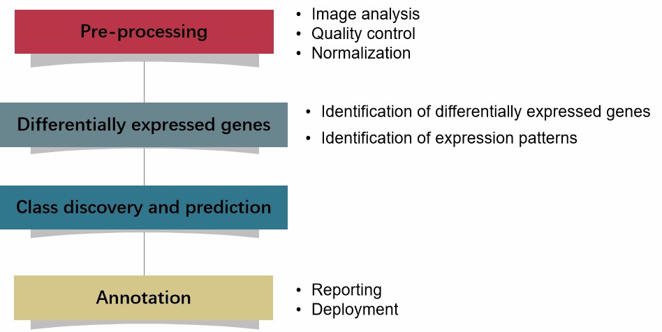 microarray-data-analysis-pipeline