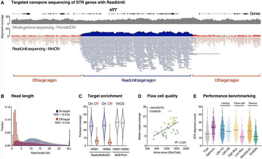 nanopore-sequencing-for-structural-variation-detection-hla-typing-and-str-analysis