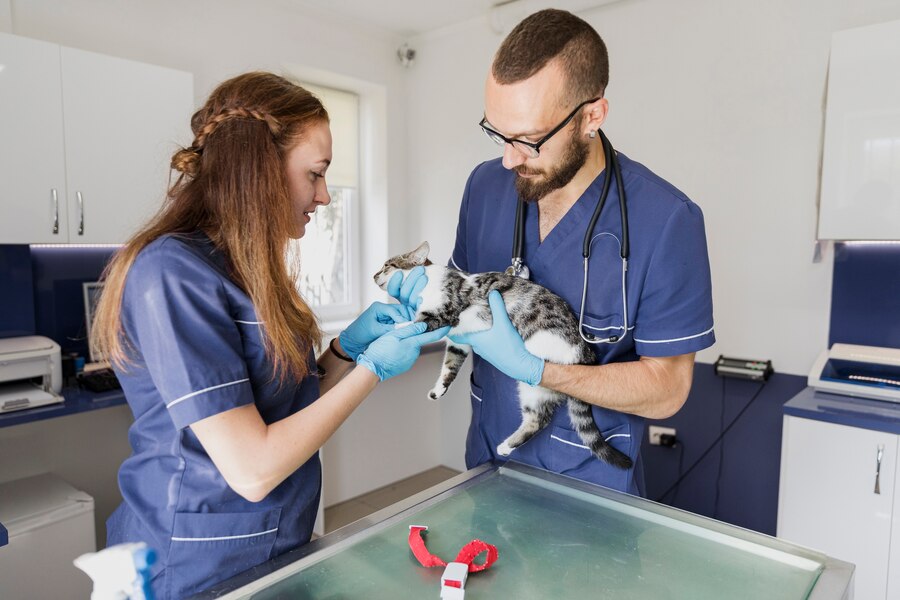 vet-care2 Buy Discount Pet Supplies Online: Save Big with Best Vet Care