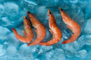 Frozen Shrimp Manufacturing Plant