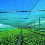 Green Net Manufacturing Plant