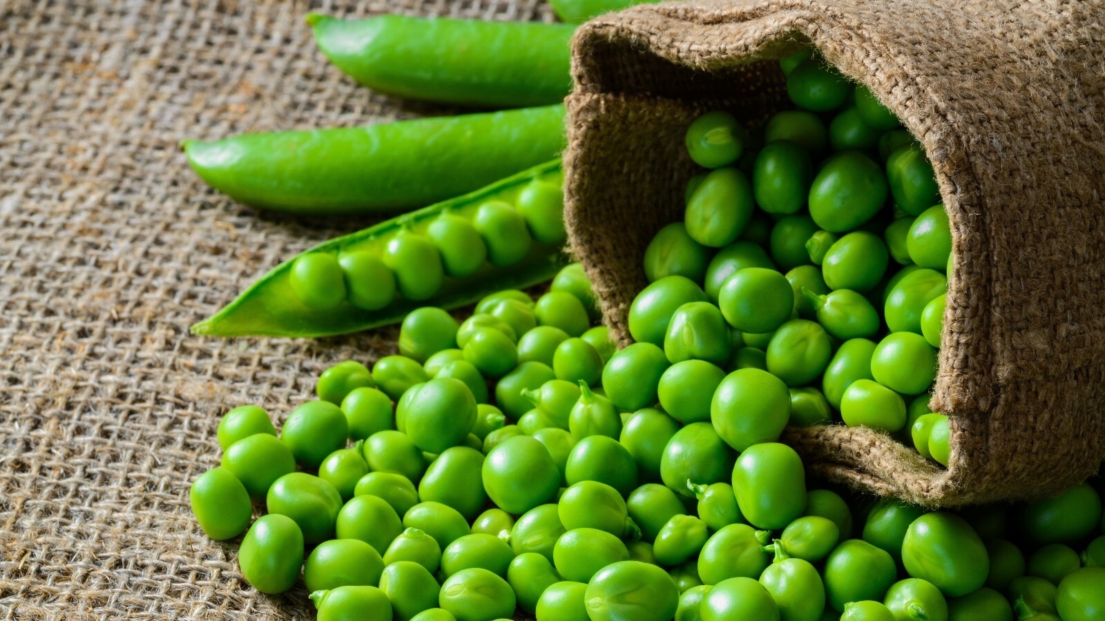 Green Pea Processing Plant