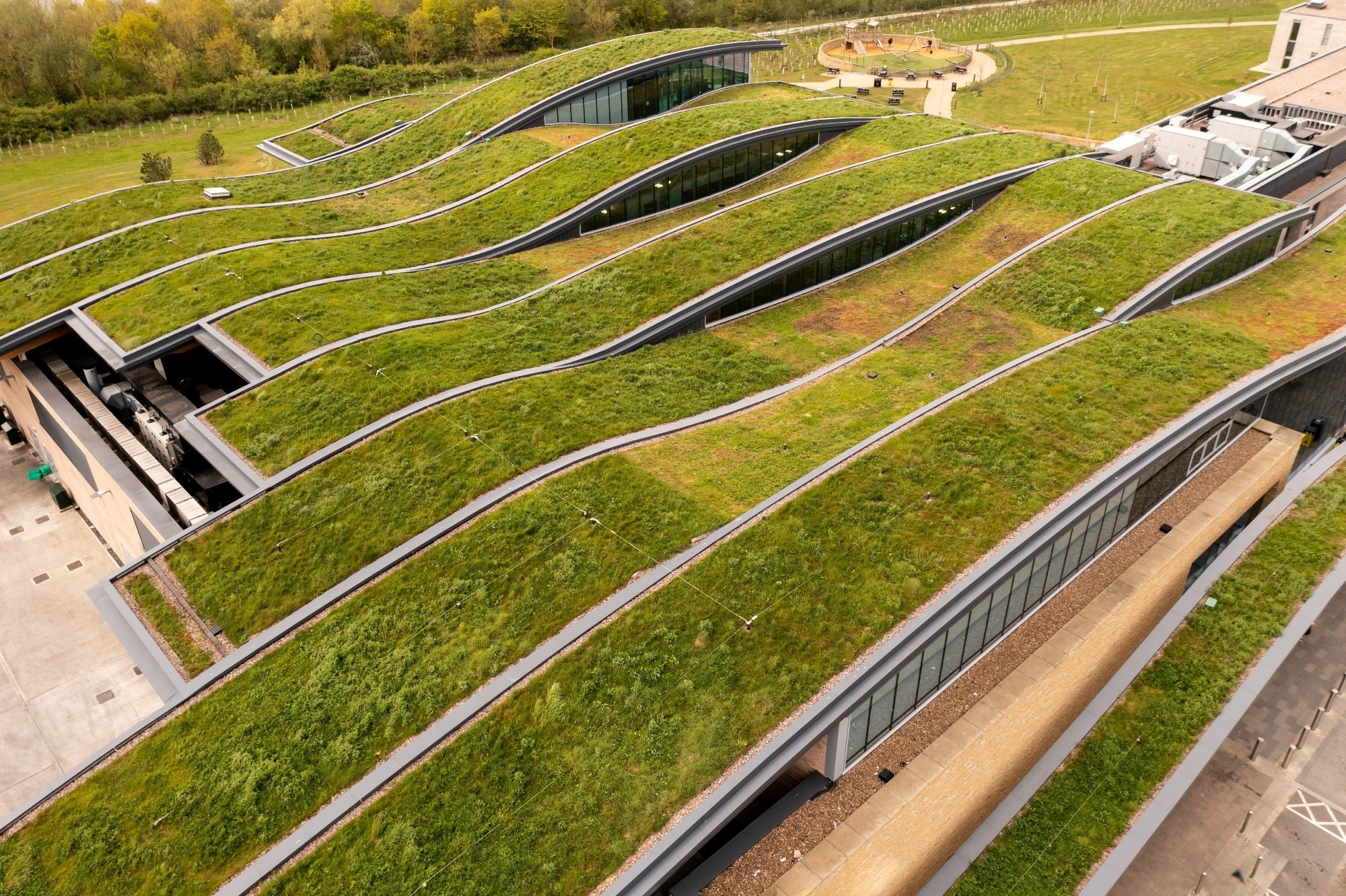 Green Roof Materials