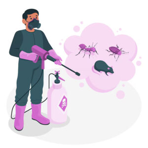 bug pest control in Houston