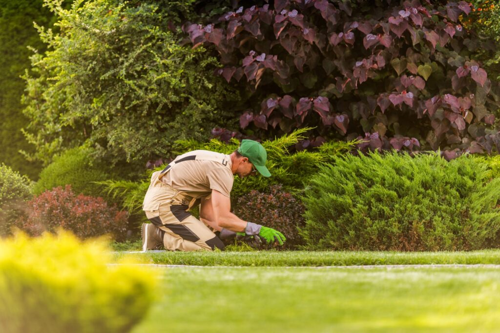 gardener-weeding-large-beautiful-gardener-2023-11-27-05-07-03-utc-1024x683 Low-Maintenance Landscaping Ideas for Busy Homeowners
