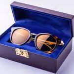 Modern sunglasses and protective glasses case isolated on a white background.