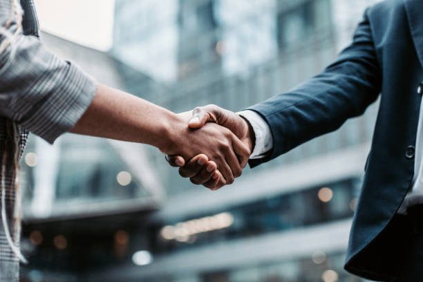 divestiture consultants