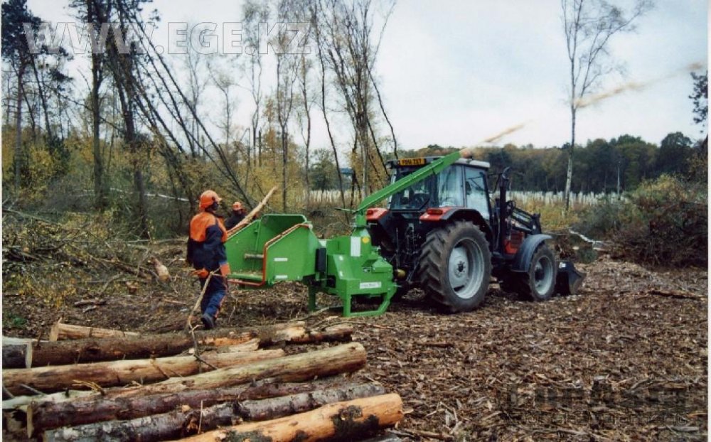 stump removal service near me
