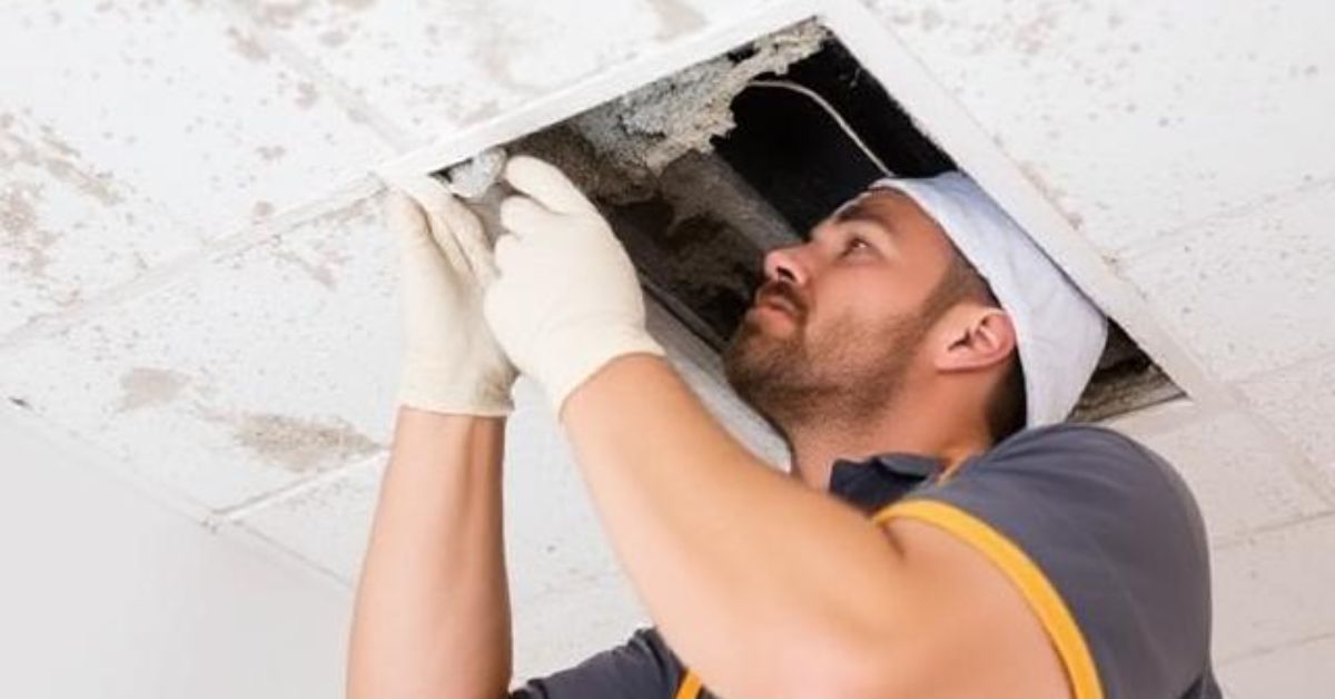 Air Duct Mold Cleaning