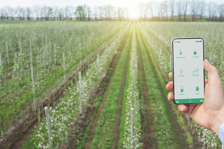 Digital farming