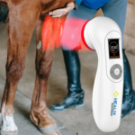 equine laser therapy cost