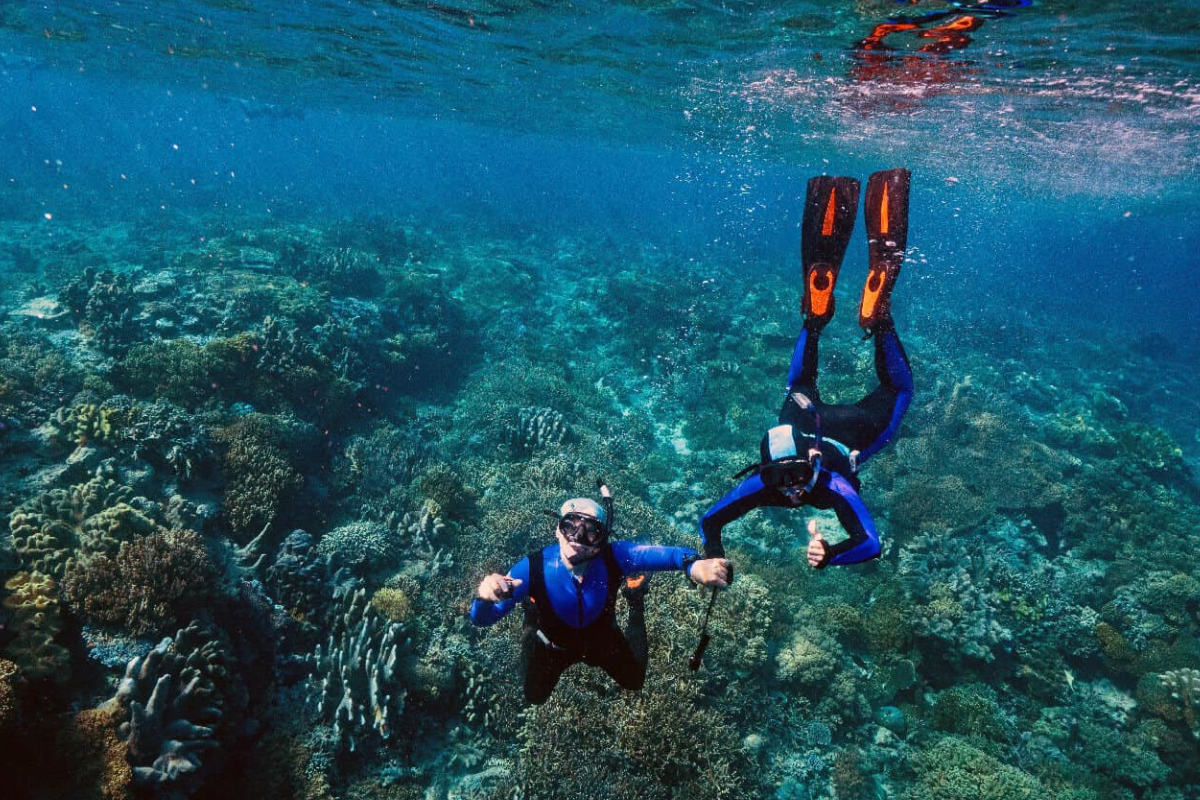 Turks and Caicos Snorkeling