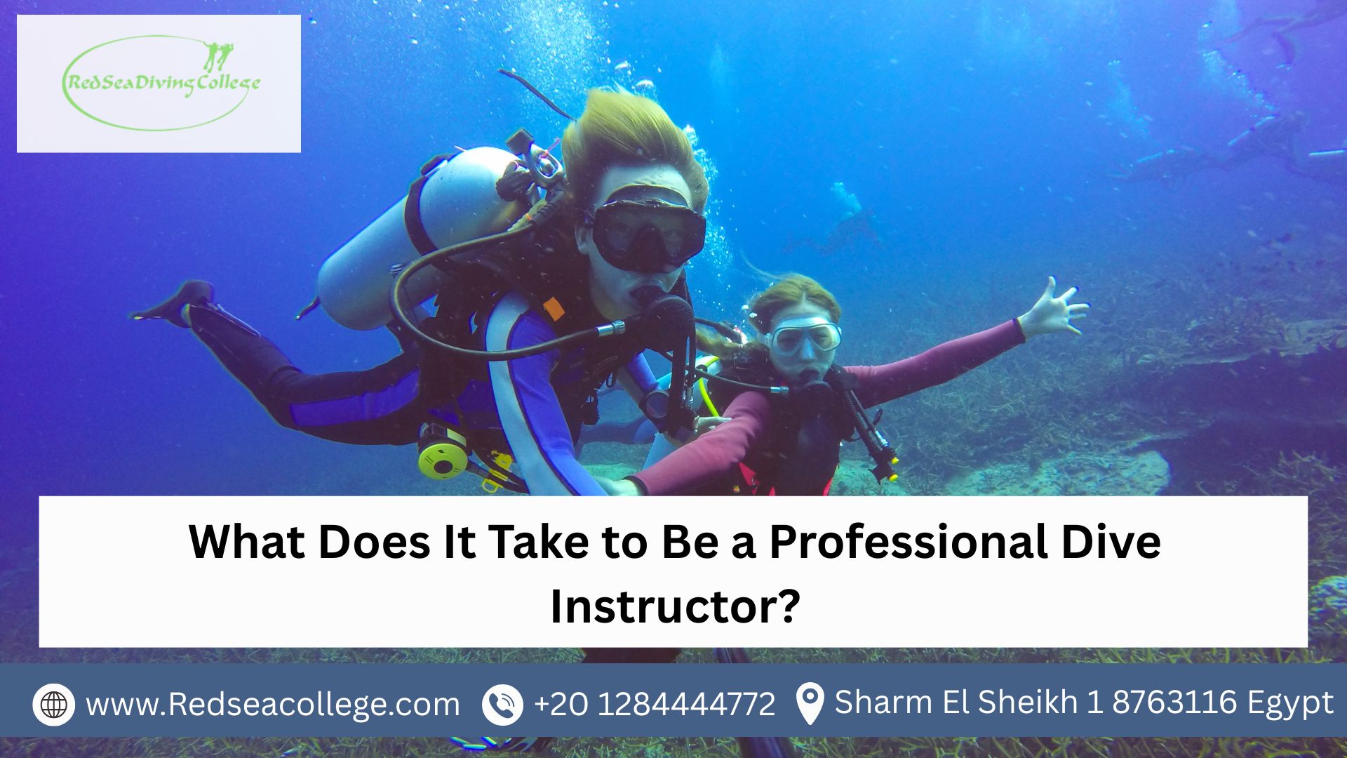 professional dive instructor