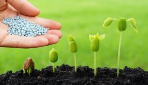Biocides Market