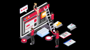 Choose a professional web developer
