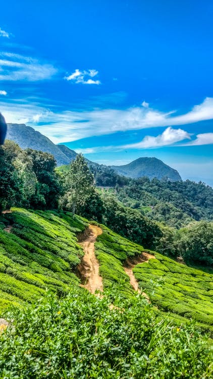 uttarakhand holiday package