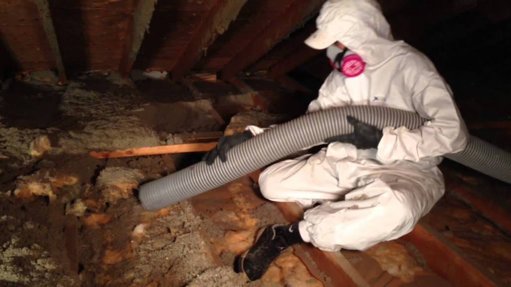 image-264-1024x576 Why Insulation Removal is Essential for Fire Safety in Reidland, KY