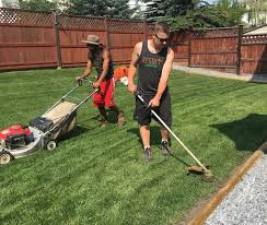 Yard Clean Up Calgary Services