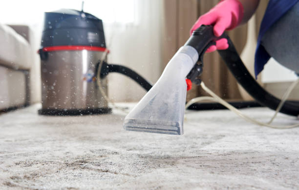 professional carpet cleaning in Brooklyn
