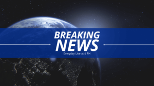 WordPress News Themes