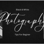 Photography WordPress Themes