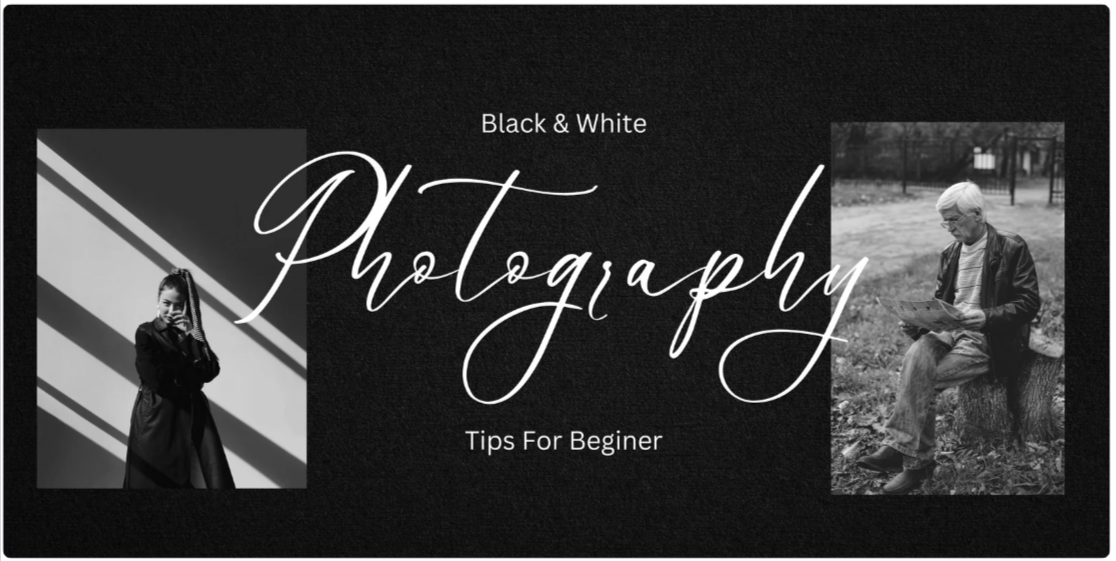 Photography WordPress Themes