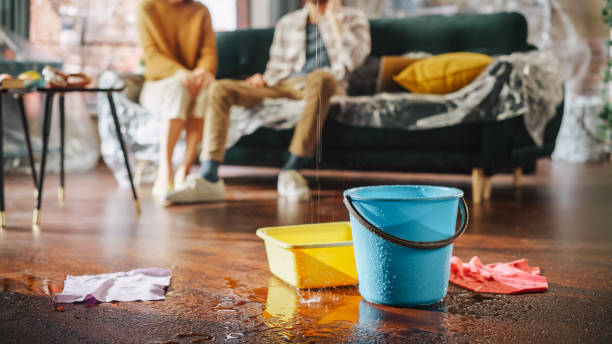 water-damage-s Top-Quality Water Damage Repairs on Carpets and Rugs in Bronx, NY