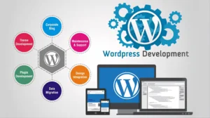 web development services