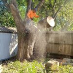 Dangerous tree removal in Boling, Texas