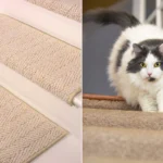 cat scratching mat