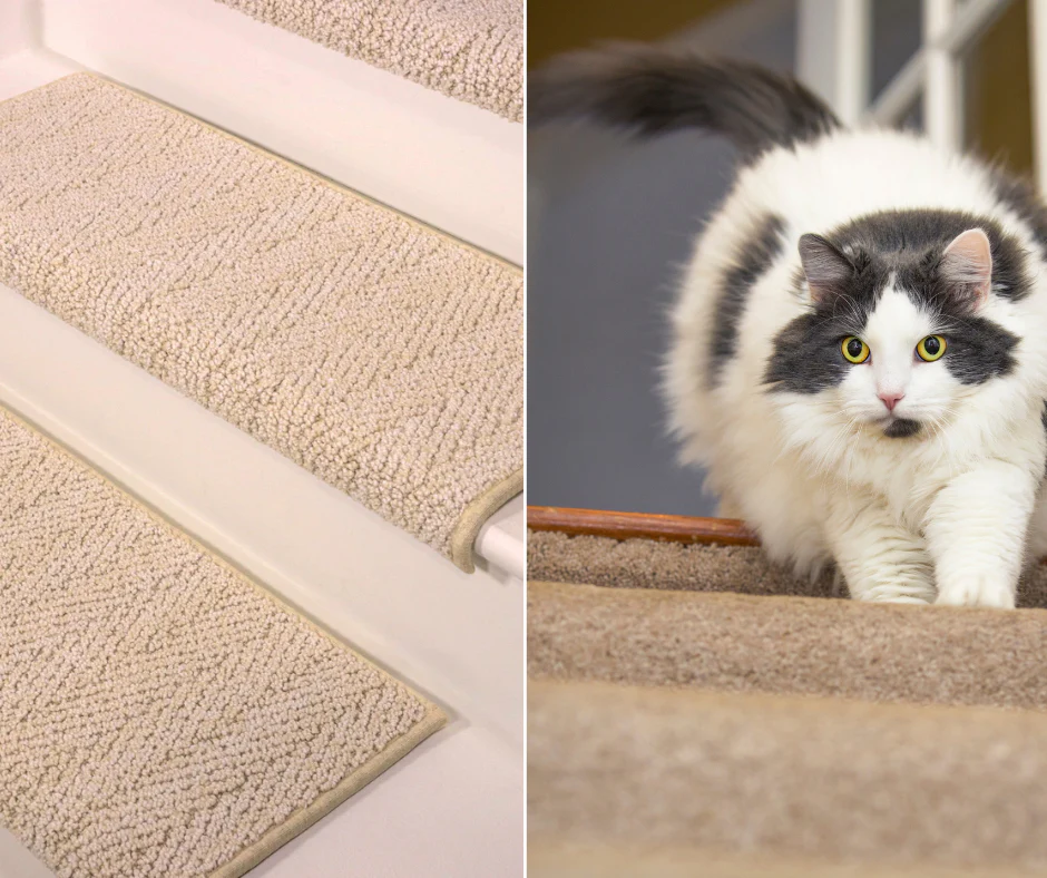 cat scratching mat