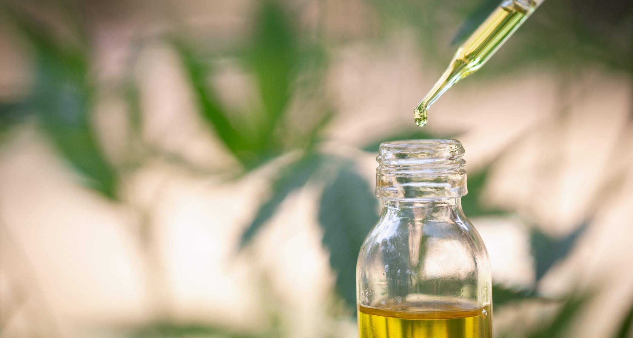 CBD Oil