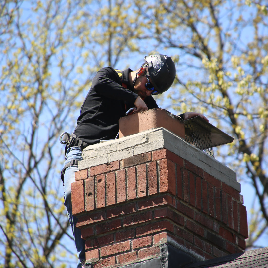 Chimney Animal Removal