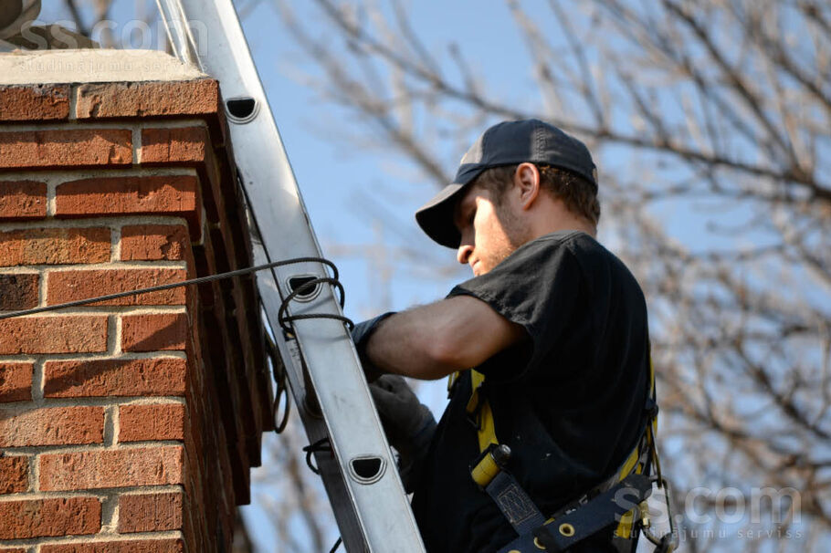 Chimney Animal Removal