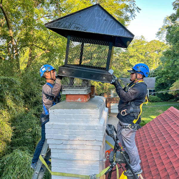 Chimney Animal Removal