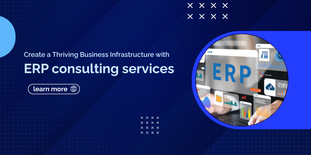 ERP Consulting services