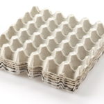 Paper Egg Tray Manufacturers in Bangalore: Sustainable Packaging for a Growing City