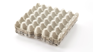Paper Egg Tray Manufacturers in Bangalore: Sustainable Packaging for a Growing City