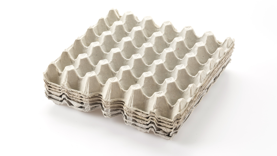 Paper Egg Tray Manufacturers in Bangalore: Sustainable Packaging for a Growing City