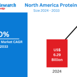 North America Protein Bar Market