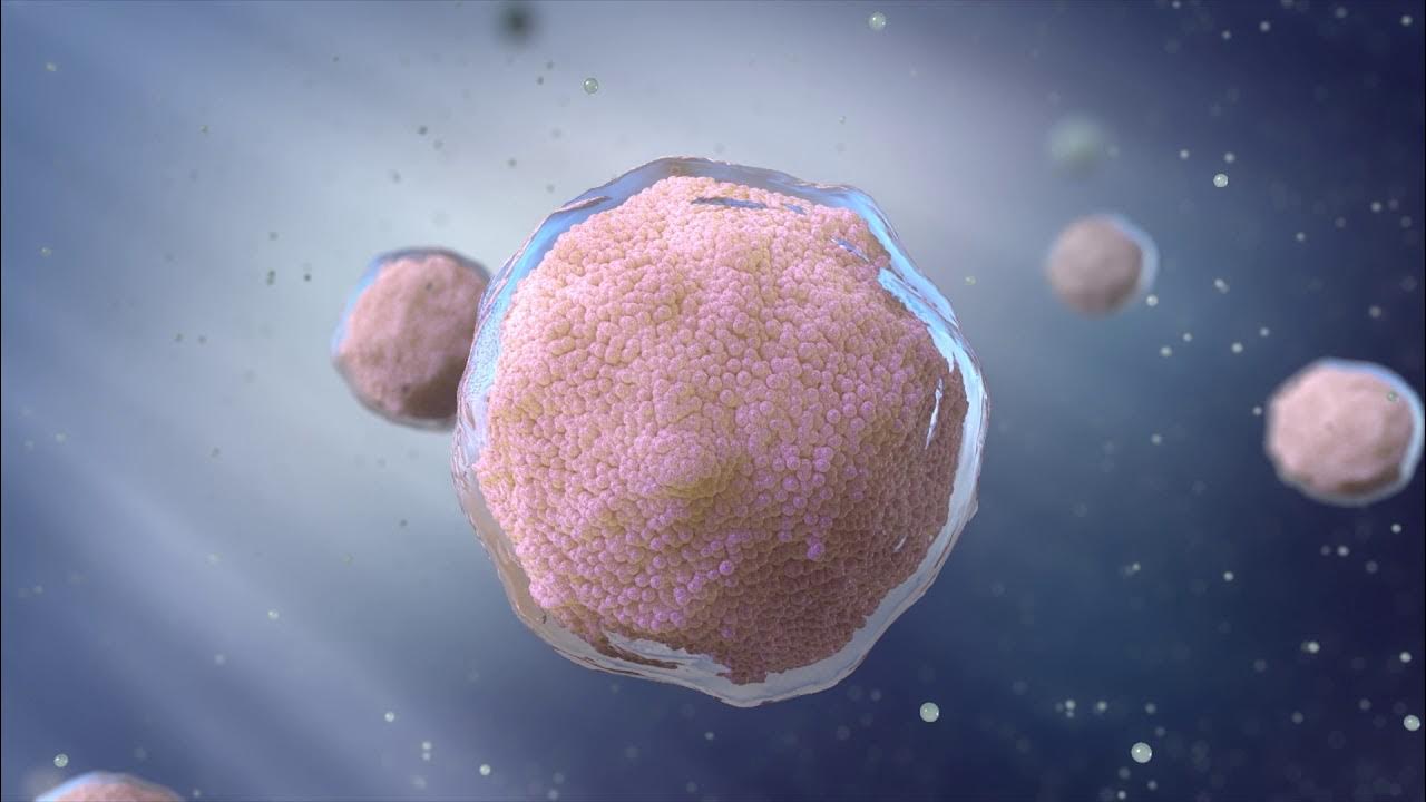 Organoids Market