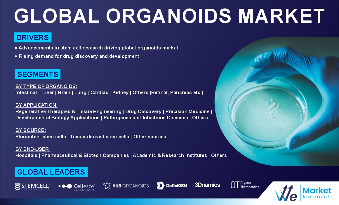 Organoids Market
